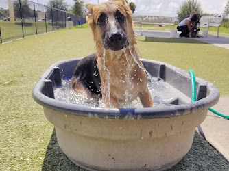 Northwest County Dog Park