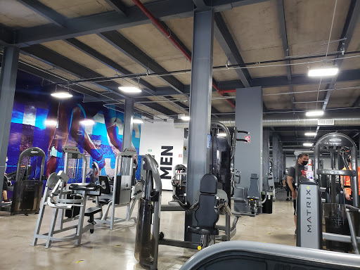 Alcatraz Gym Cantera