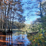 Photo n° 14 de l'avis de Agnès.o fait le 22/11/2022 à 09:10 pour Cascade de la Roche à Saint-Baudille-de-la-Tour