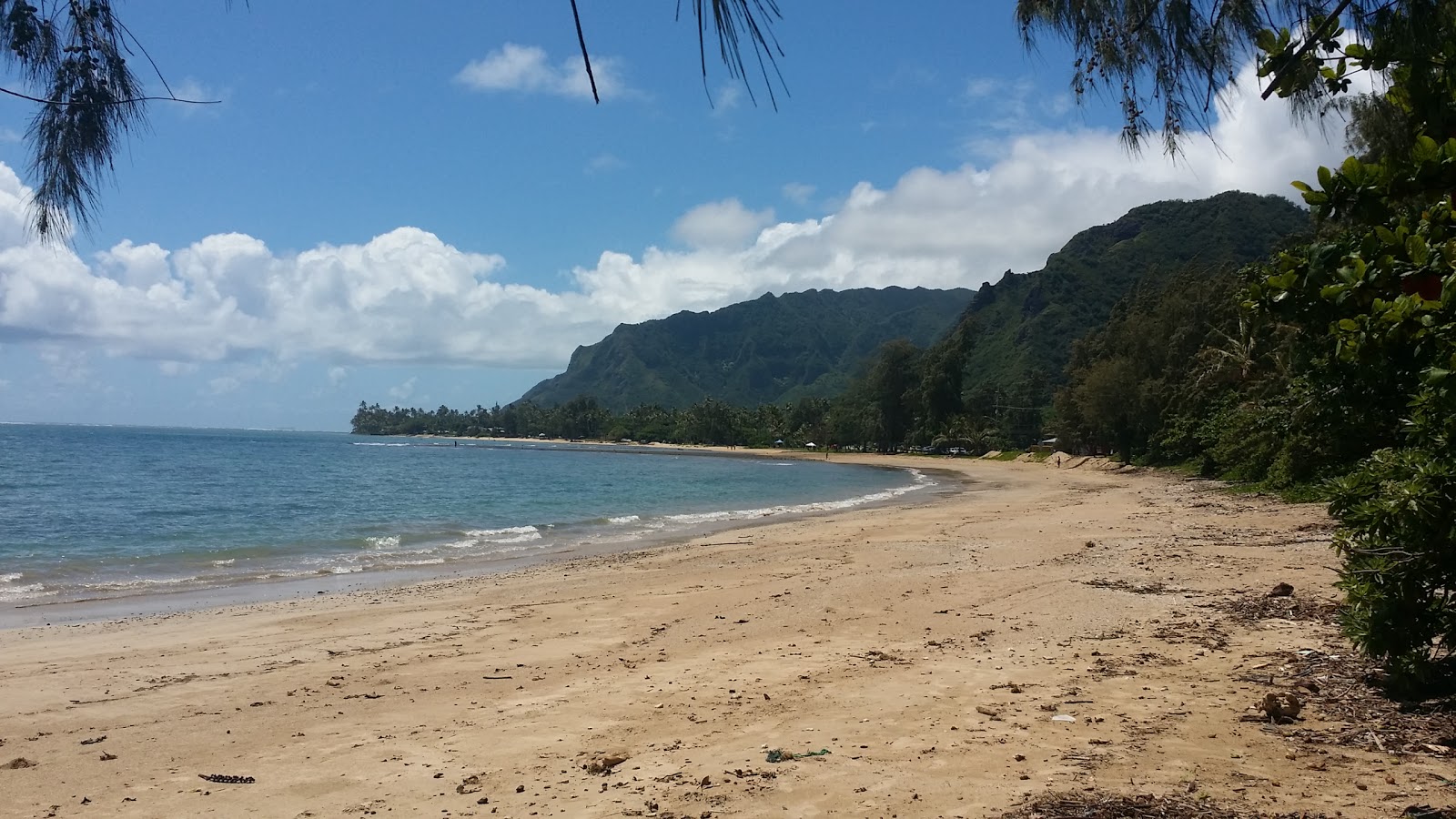 Foto van Punalu'u Beach Park met helder zand oppervlakte