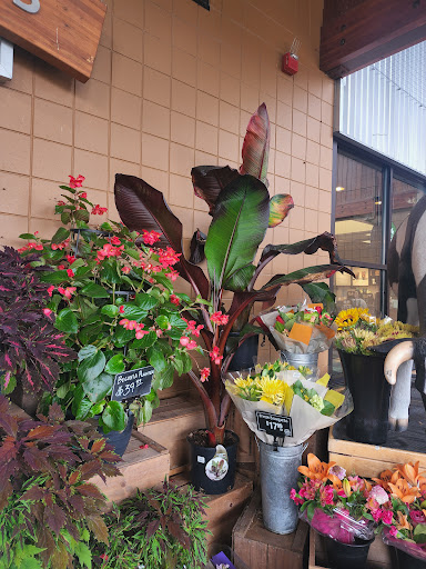 Grocery Store «Haggen Food & Pharmacy», reviews and photos, 1313 Cooper Point Rd SW, Olympia, WA 98502, USA