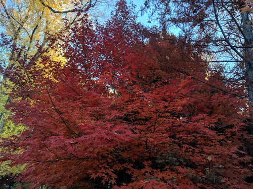 Garden «Sierra Water Gardens», reviews and photos, 2110 Dickerson Rd, Reno, NV 89503, USA