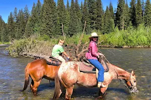 Swift Creek Outfitters - Teton Horseback Adventures image