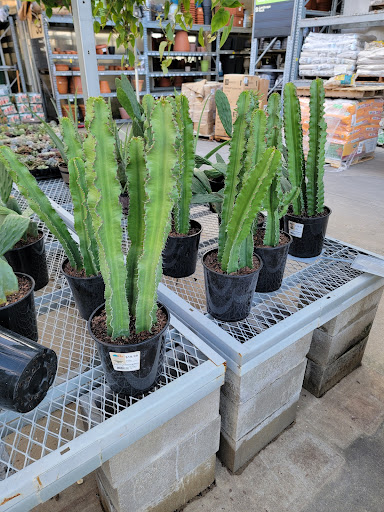 Home Improvement Store «The Home Depot», reviews and photos, 5000 Hampstead Blvd, Clinton, MS 39056, USA