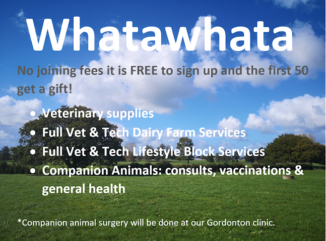Reviews of Global Veterinary Services Whatawhata in Hamilton - Veterinarian
