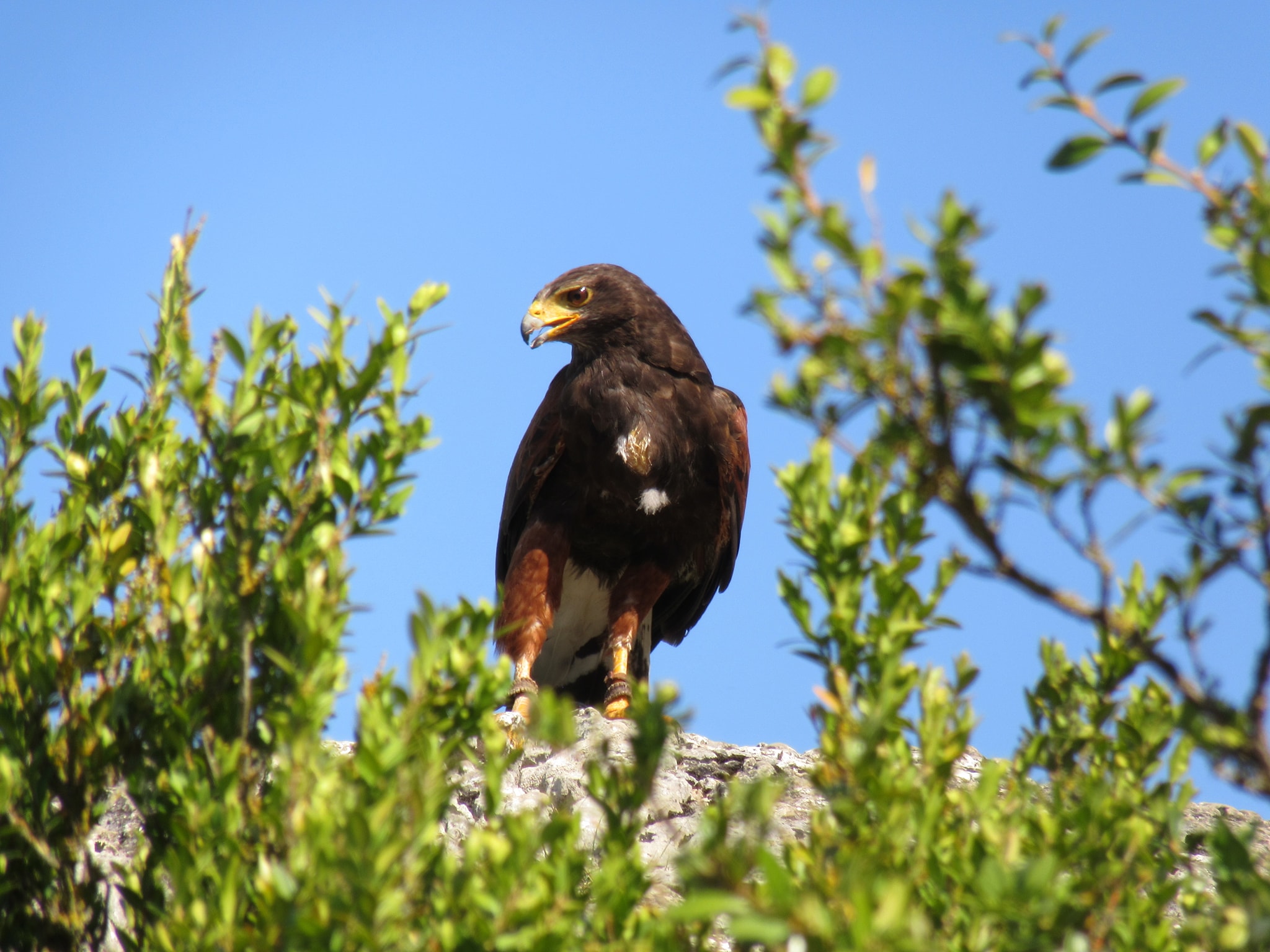 Photo n° 4 de l'avis de Pascal.E fait le 08/08/2019 à 09:59
