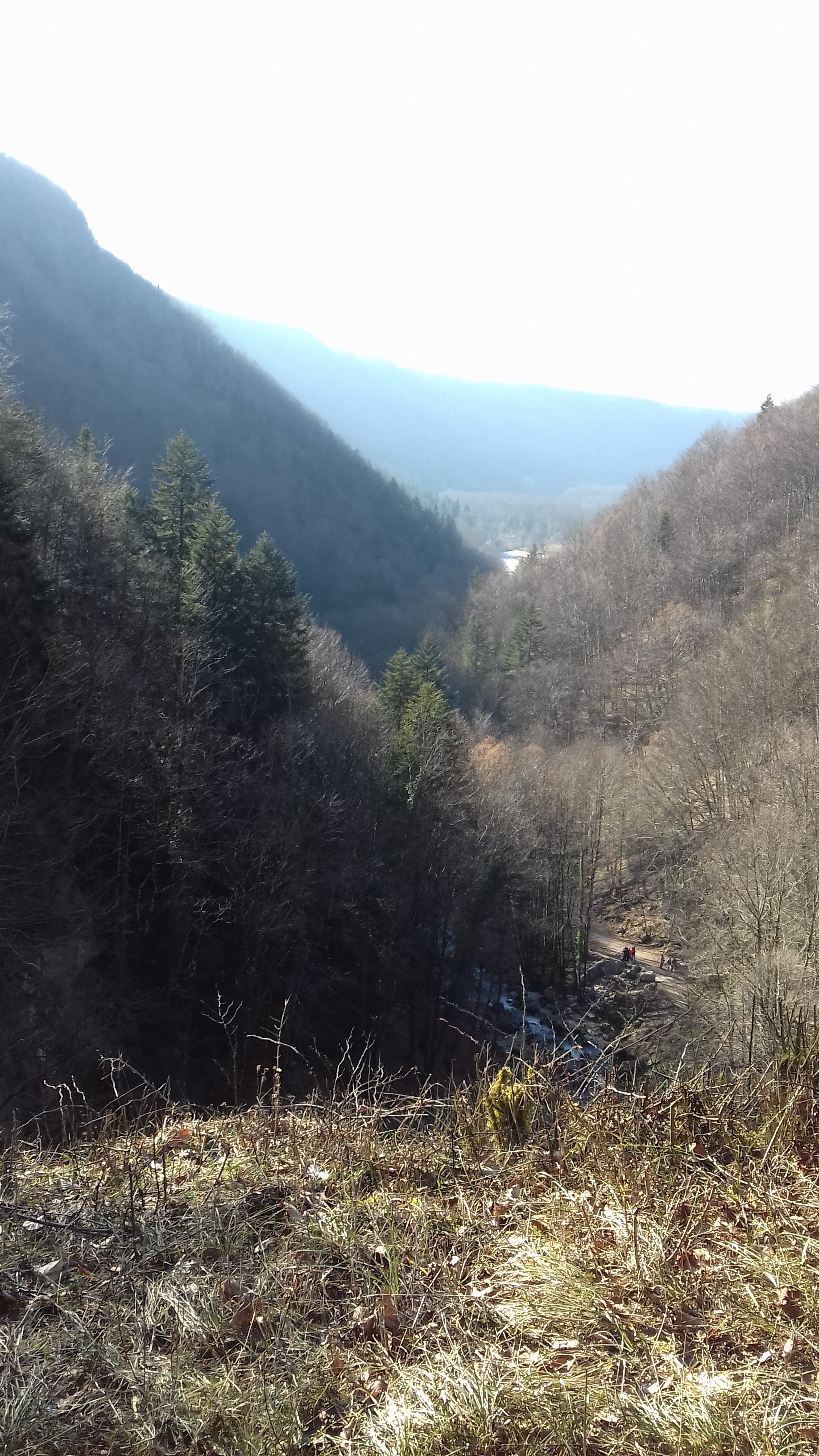 Photo n° 4 de l'avis de Jean.e fait le 27/02/2019 à 15:59
