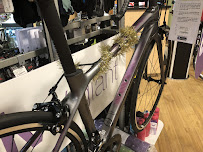 Outspokin Bicycles Clearwater - Photo 9 - Car repair in Clearwater, FL, St. Petersburg