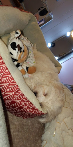 Pets Plus, 454 TN-46, Dickson, TN 37055, USA, 