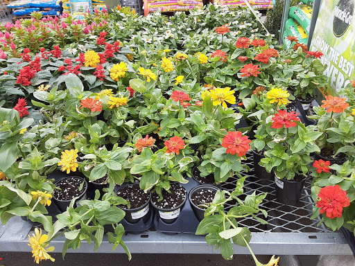 Home Improvement Store «The Home Depot», reviews and photos, 100 Gentilly Blvd, Cartersville, GA 30120, USA