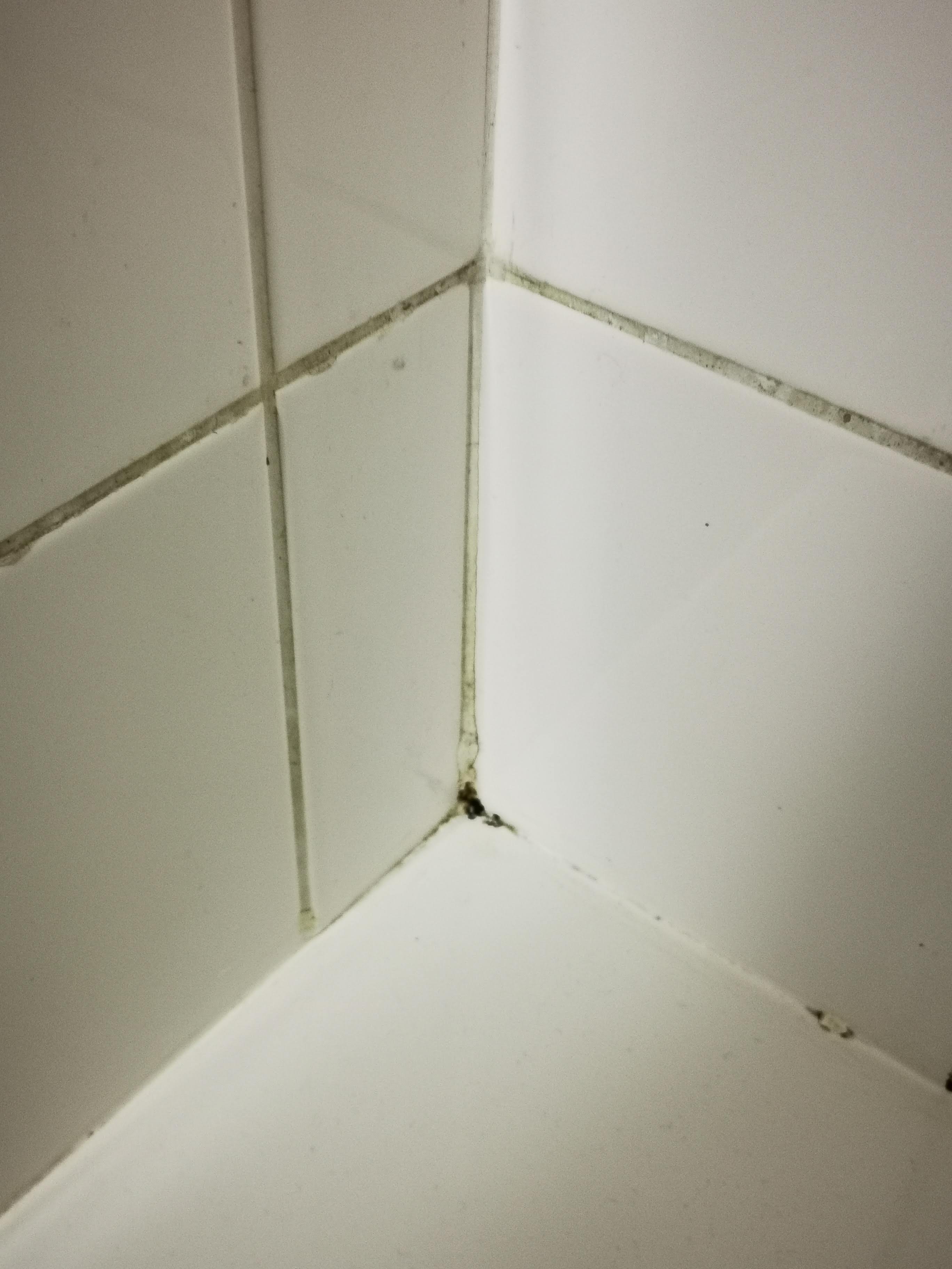 Photo n° 10 de l'avis de Martin.m fait le 10/03/2021 à 11:13