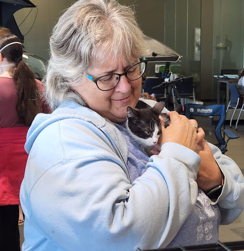 Subaru Dealer «Adventure Subaru», reviews and photos, 1991 Mentor Ave, Painesville, OH 44077, USA