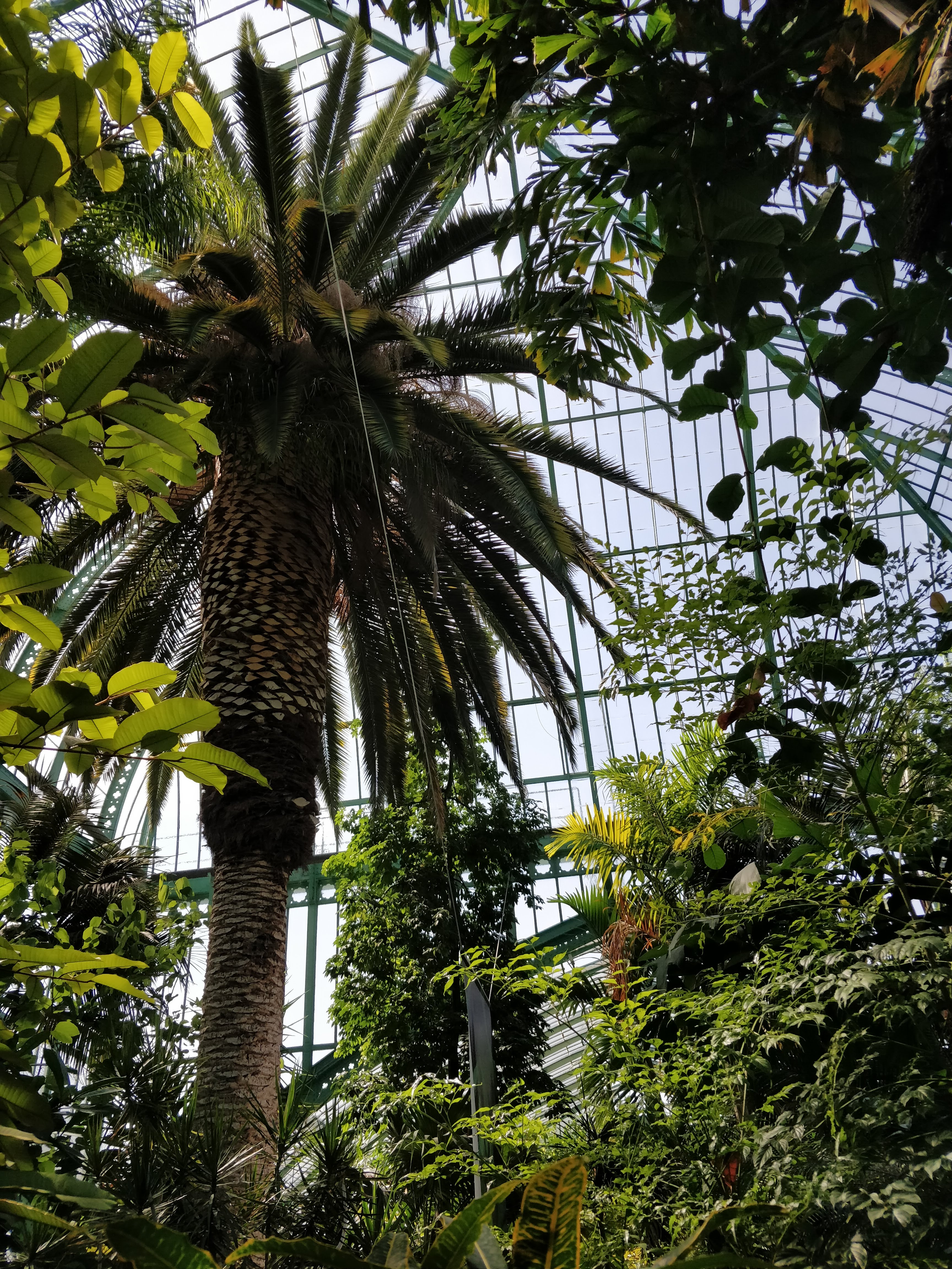 Photo n° 1 de l'avis de Paul.a fait le 25/08/2018 à 07:59