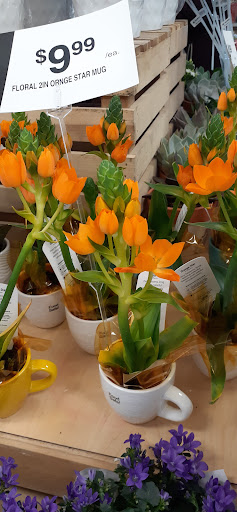 Grocery Store «Giant Food Stores», reviews and photos, 450 E Main St, Middletown, PA 17057, USA