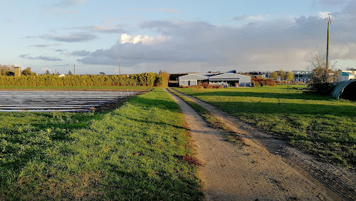 Le Jardin de l'Avenir à Sainte-Gemmes-sur-Loire