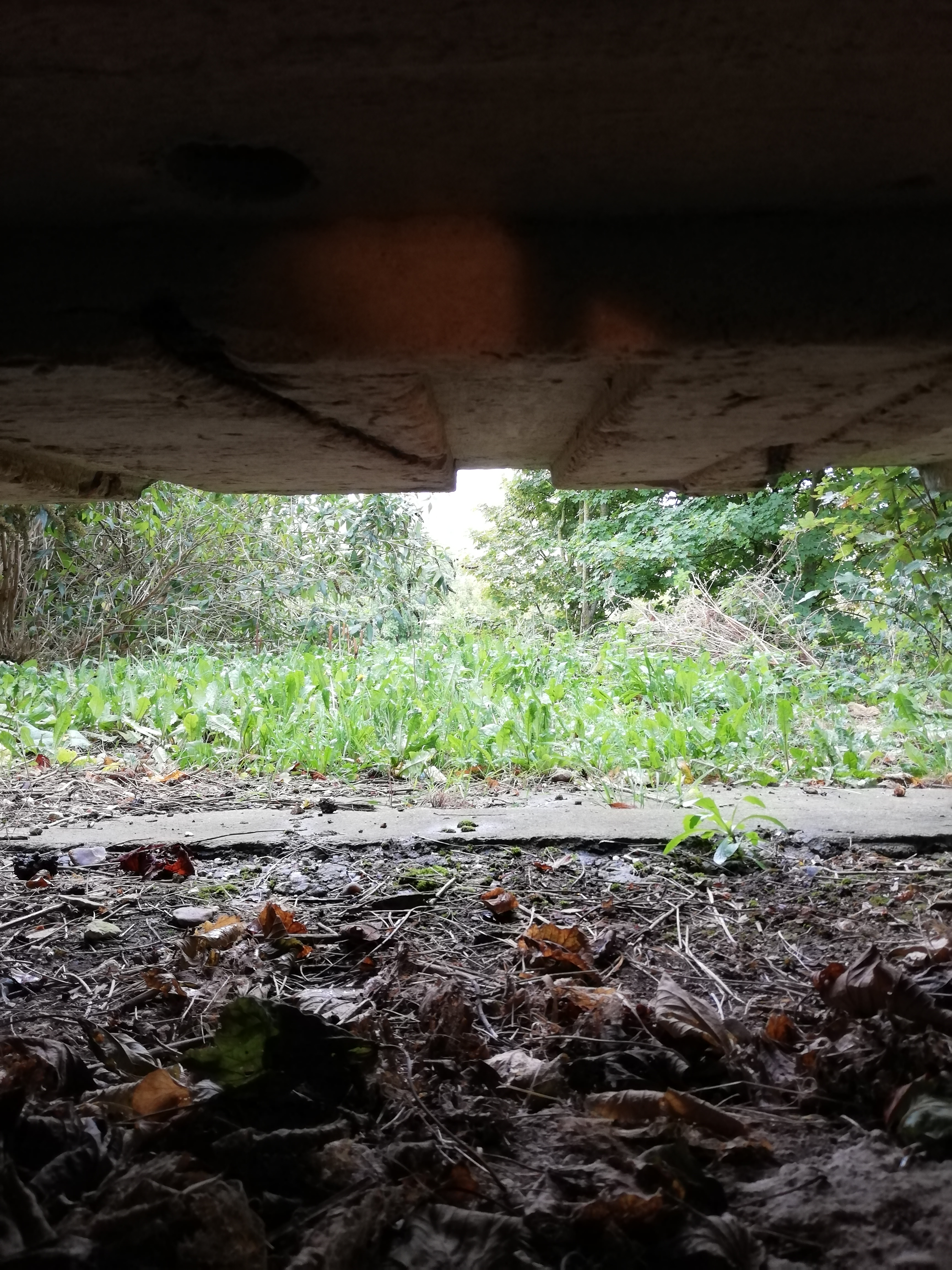 Photo n° 11 de l'avis de Séverine.R fait le 28/09/2019 à 05:43