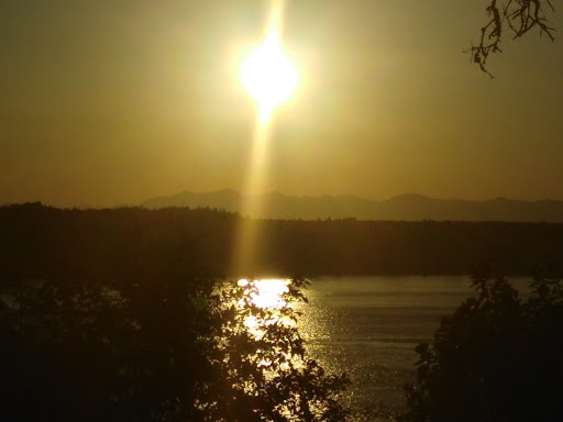 Movie Theater «AMC Lakewood Mall 12», reviews and photos, 5721 Main St SW, Lakewood, WA 98499, USA