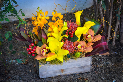 Florist «Fleur De Lis Florist», reviews and photos, 811 Castro St, Mountain View, CA 94041, USA
