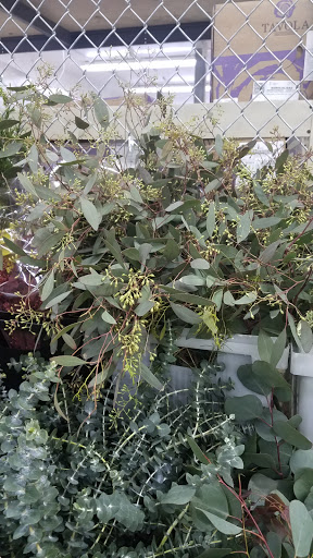 Florist «Nordlie Inc, - Detroit», reviews and photos, 25300 Guenther, Warren, MI 48091, USA