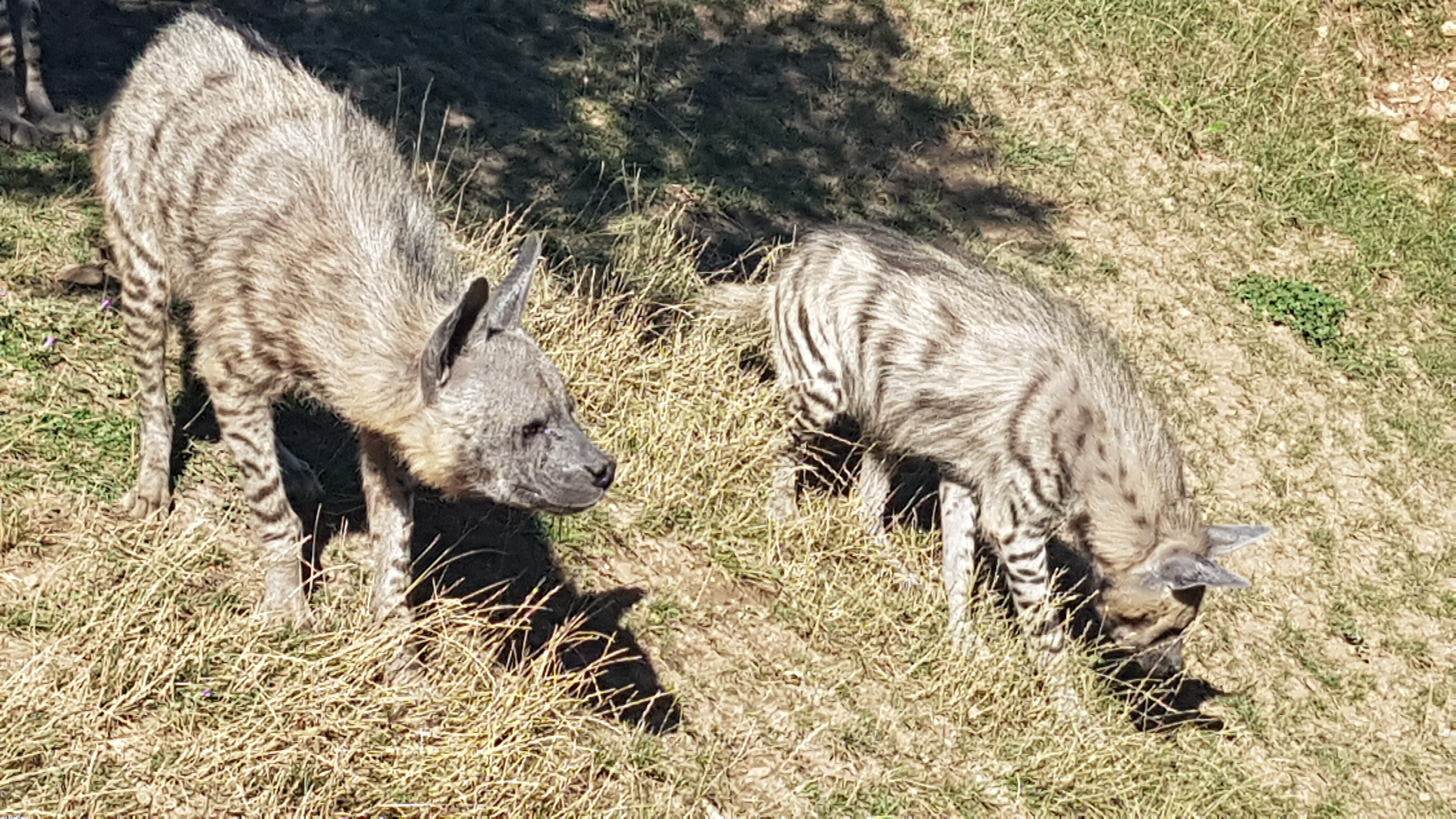 Photo n° 19 de l'avis de Dominique.A fait le 05/08/2017 à 15:53