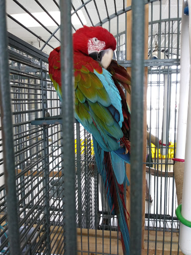 Pet Store «Animal Lovers Pet Shop», reviews and photos, 24028 Vista Montana, Torrance, CA 90505, USA