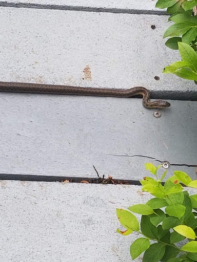 Nature Preserve «Tom S Cooperrider-Kent Bog State Nature Preserve», reviews and photos, 1028 Meloy Rd, Kent, OH 44240, USA