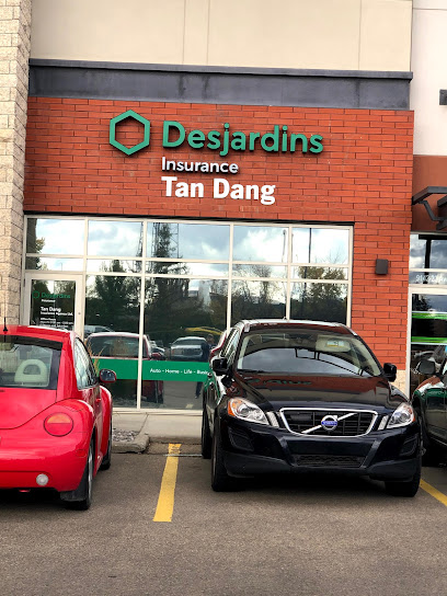 Tan Dang Desjardins Insurance Agent