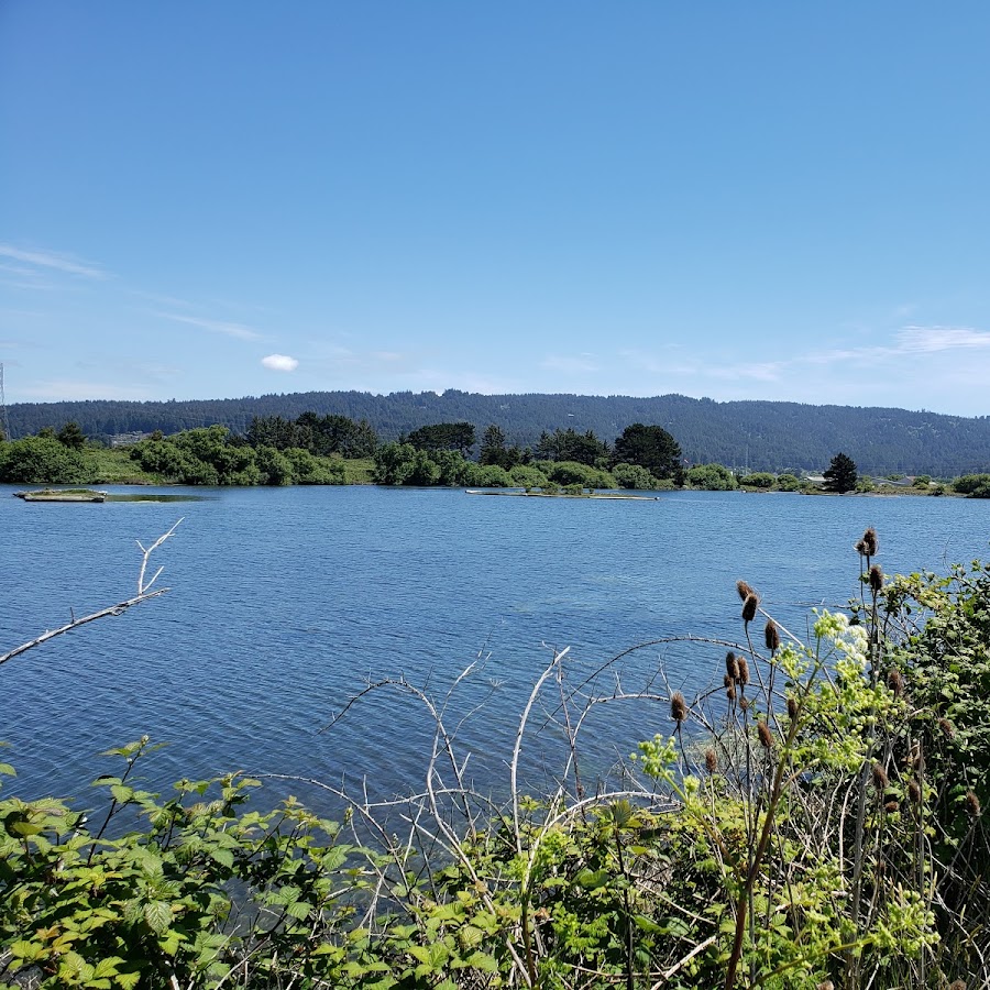 Arcata Bird Sanctuary