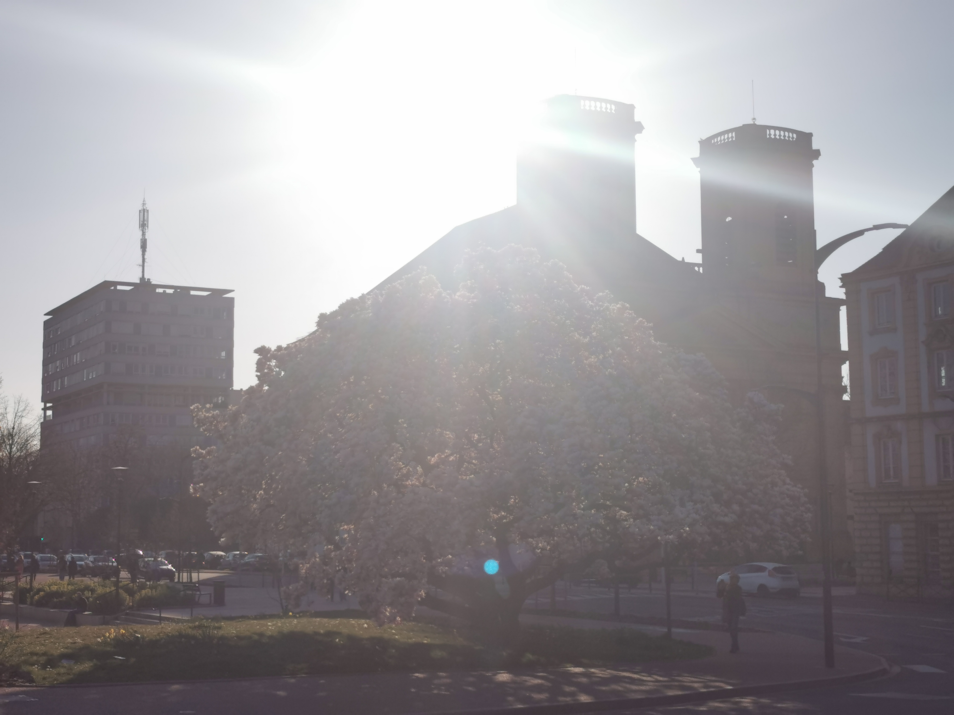 Photo n° 1 de l'avis de Jé.k fait le 27/03/2022 à 17:35