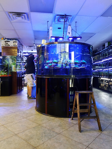 Pet Store «Total Aquariums», reviews and photos, 325 Sunrise Hwy, Lynbrook, NY 11563, USA