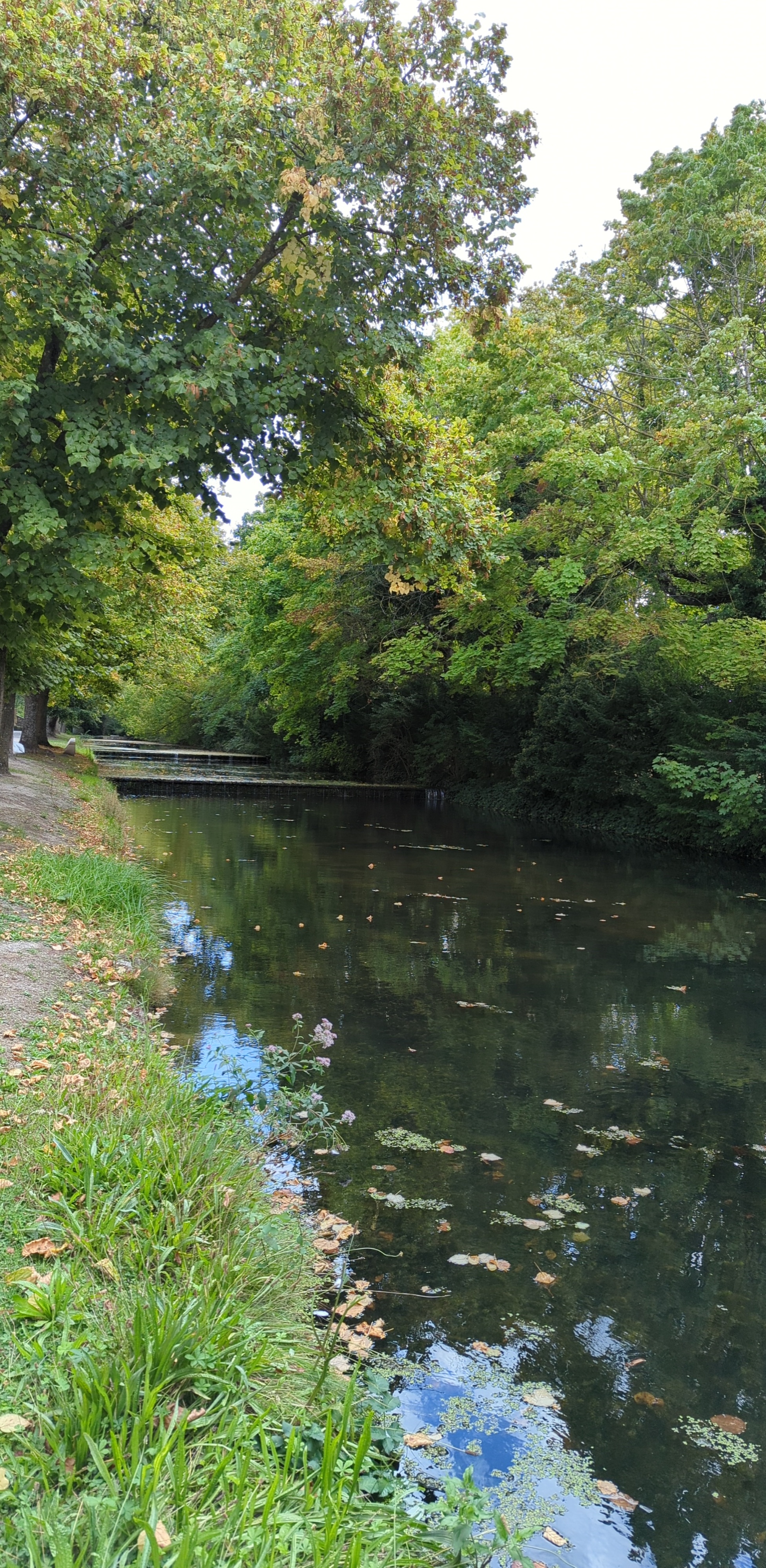 Photo n° 9 de l'avis de Fabien.o fait le 03/10/2022 à 19:42