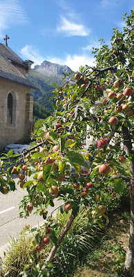 MAISON DE LA POMME ET DU BISCANTIN à Serraval
