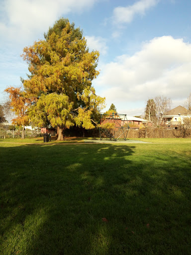 Park «Ohlone Park», reviews and photos, Milvia St, Berkeley, CA 94704, USA