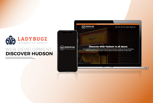 Website Designer «Ladybugz Interactive Agency», reviews and photos, 206 Turnpike Rd, Southborough, MA 01772, USA