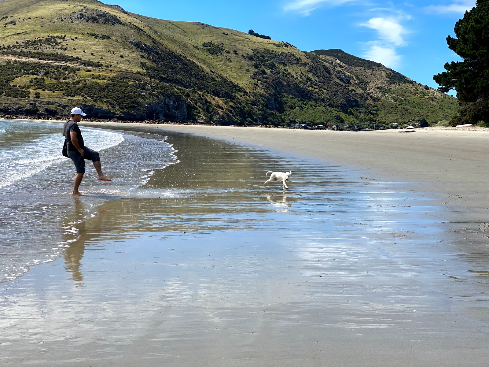 Photo de Aramoana Beach situé dans une zone naturelle