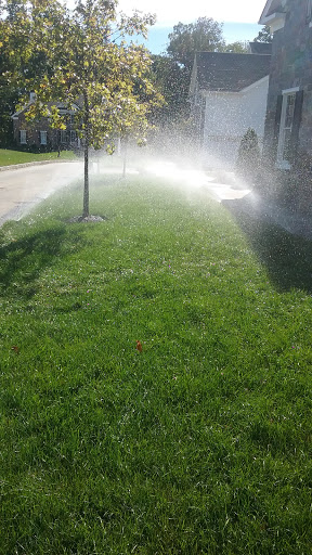 Grocery Store «Primos Mini Market», reviews and photos, 37 Strode Ave, Coatesville, PA 19320, USA