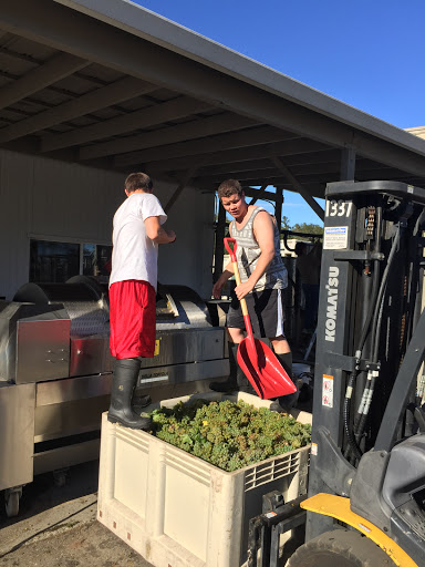 Winery «Stephen & Walker Winery», reviews and photos, 243 Healdsburg Ave, Healdsburg, CA 95448, USA