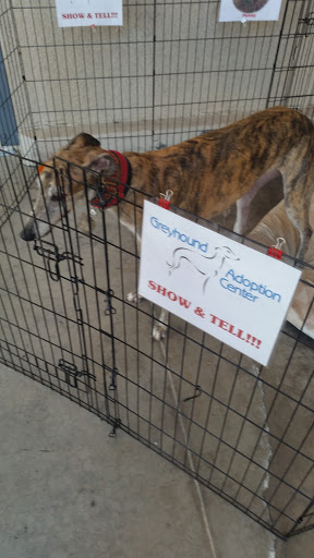 Pet Supply Store «Pet Supply Santa Clarita», reviews and photos, 26831 Bouquet Canyon Rd, Santa Clarita, CA 91350, USA