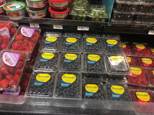 Supermarket «Publix Super Market at Jacaranda Plaza», reviews and photos, 8101 W Sunrise Blvd, Plantation, FL 33322, USA