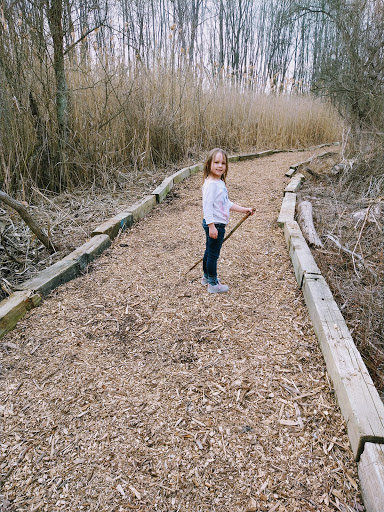 Park «Ira Township Park», reviews and photos, 7085 Meldrum Rd, Ira Township, MI 48023, USA