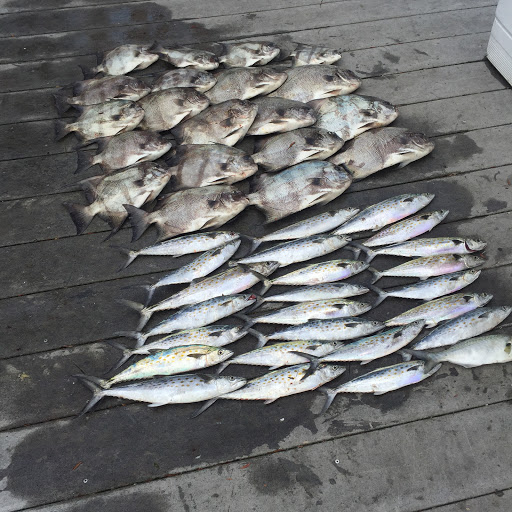 Fishing Charter «AfishinadoVB Fishing Charters», reviews and photos, 227 Mediterranean Ave, Virginia Beach, VA 23451, USA