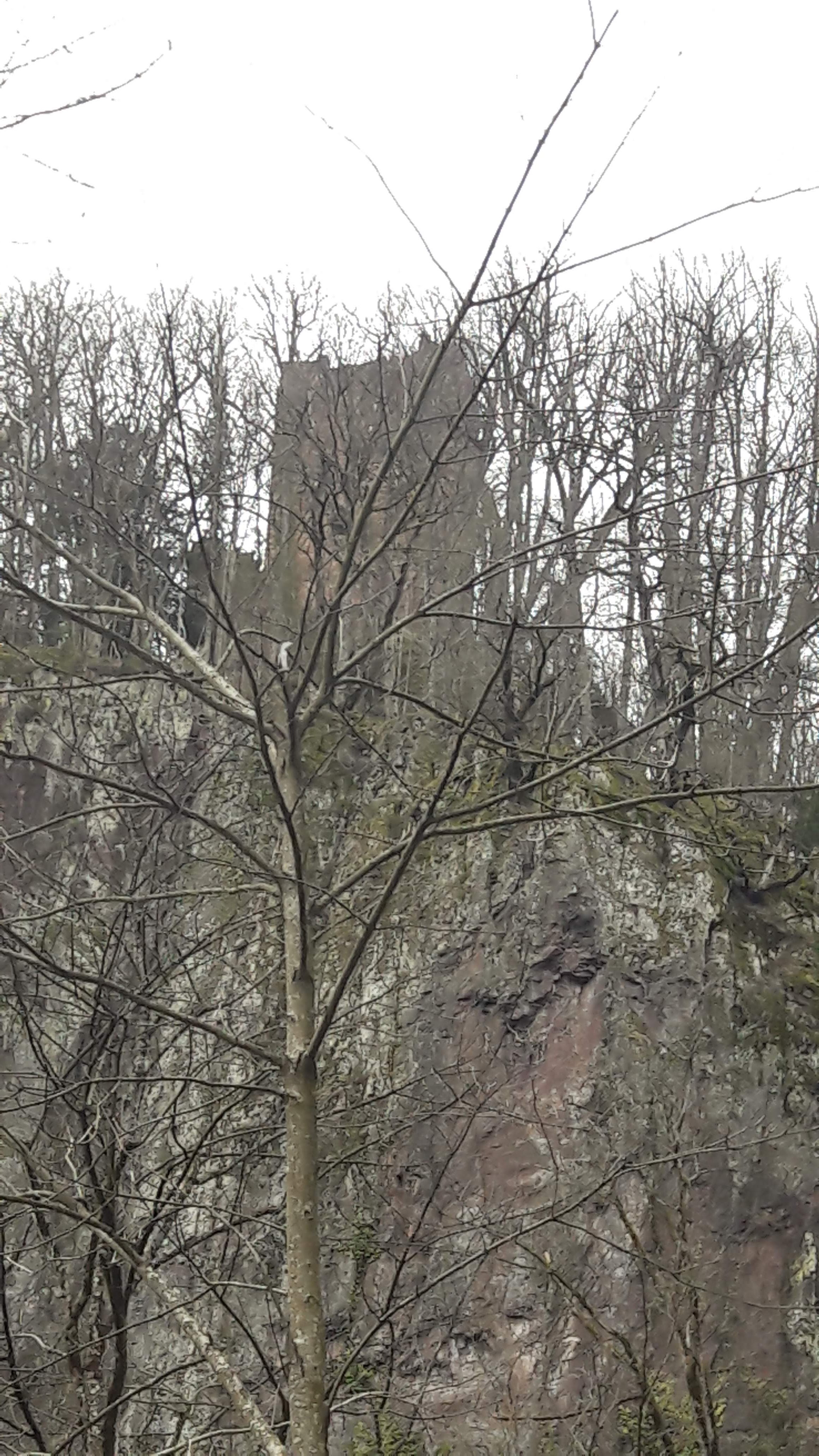 Photo n° 1 de l'avis de Marc.r fait le 09/03/2020 à 15:45