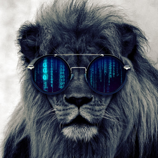 Gym «Cardio Express East Hartford», reviews and photos, 265 Ellington Rd, East Hartford, CT 06118, USA