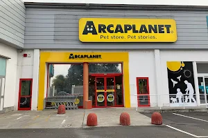 Arcaplanet image