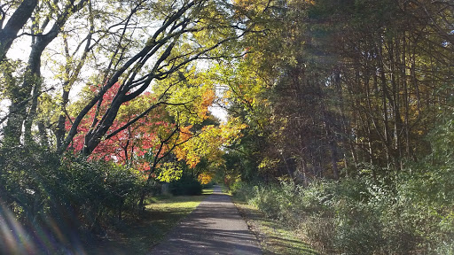 Park «Lee Victory Recreation Park», reviews and photos, 110 Sam Ridley Pkwy E, Smyrna, TN 37167, USA