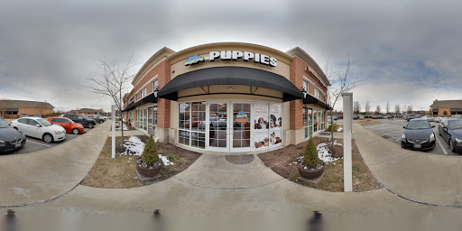 Pet Store «Charm City Puppies», reviews and photos, 8205 Snowden River Pkwy, Columbia, MD 21045, USA