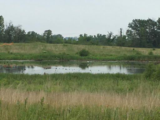 Nature Preserve «Orland Grassland», reviews and photos, 167th Street & S La Grange Road, Tinley Park, IL 60487, USA