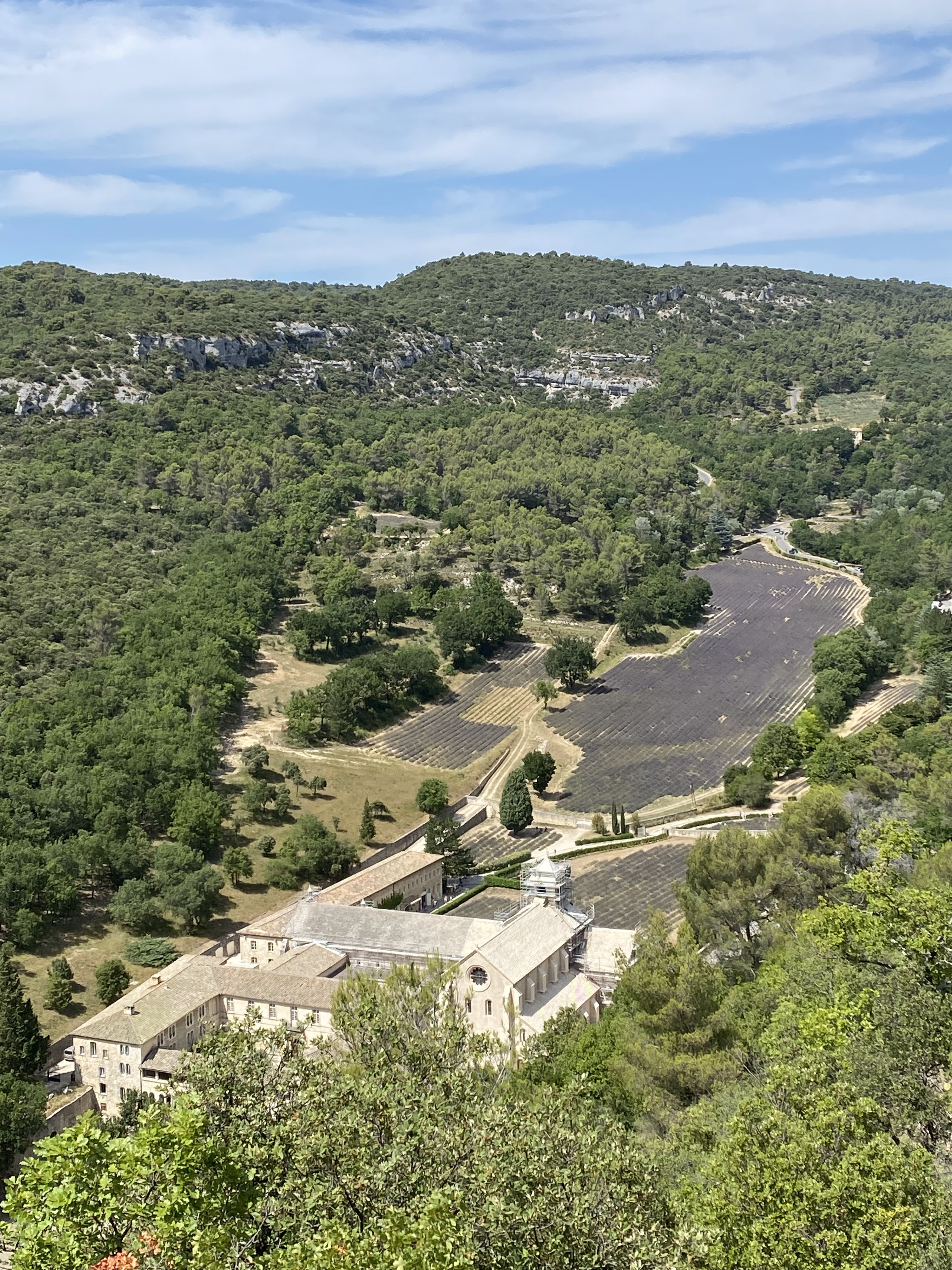 Photo n° 11 de l'avis de Jérémy.e fait le 25/07/2021 à 21:49