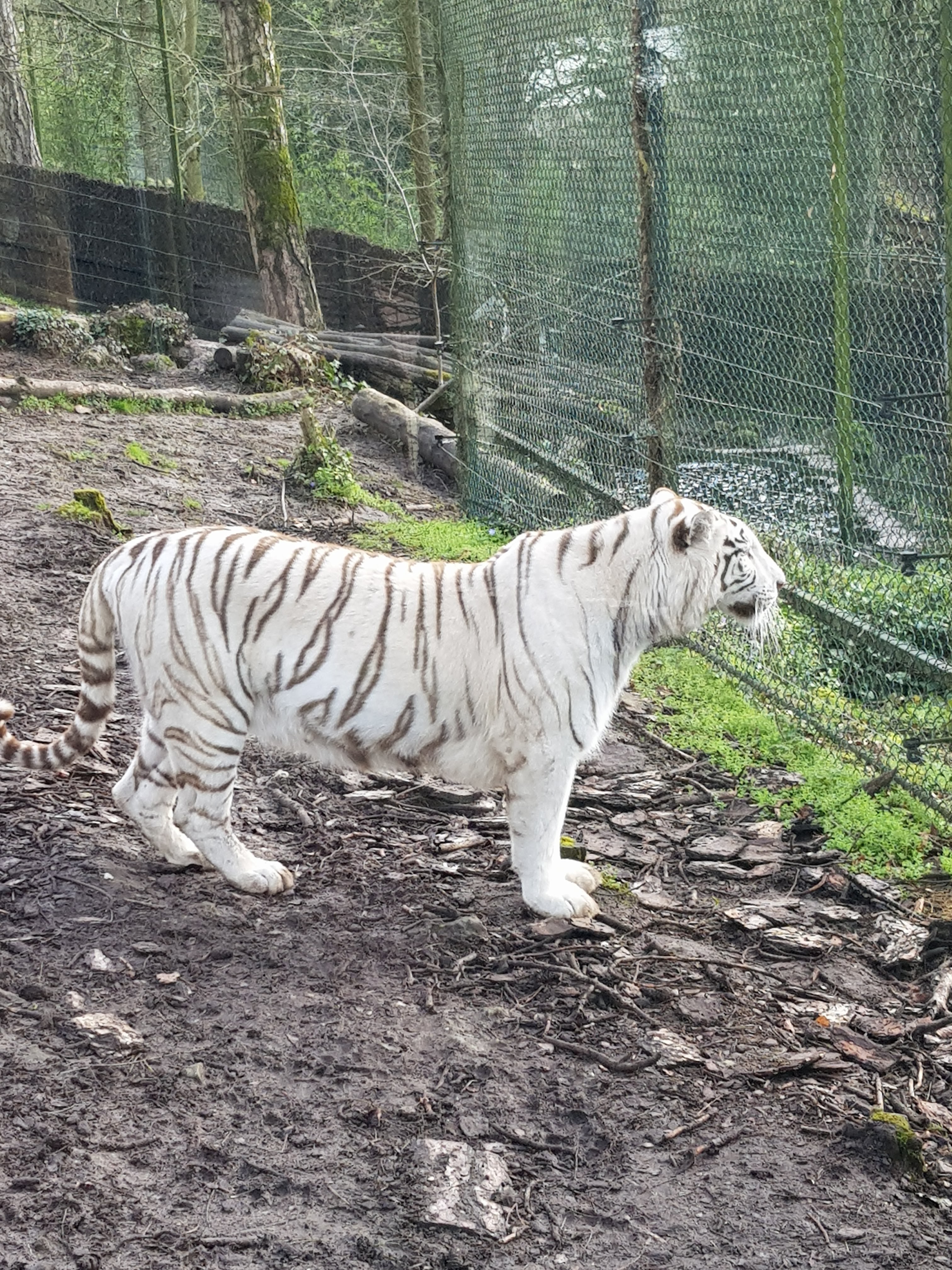 Photo n° 3 de l'avis de Patrick.e fait le 15/04/2018 à 08:45