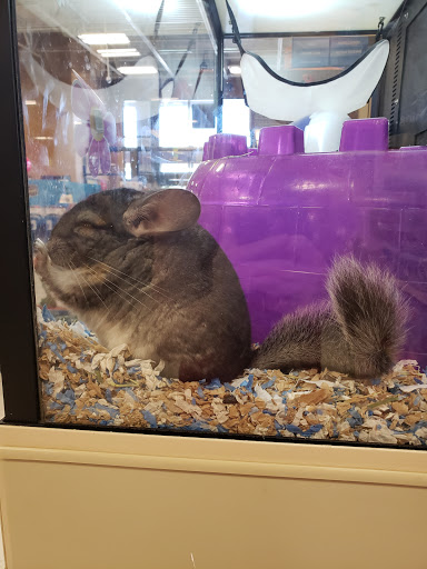 Pet Supply Store «PetSmart», reviews and photos, 7663 Arundel Mills Blvd, Hanover, MD 21076, USA